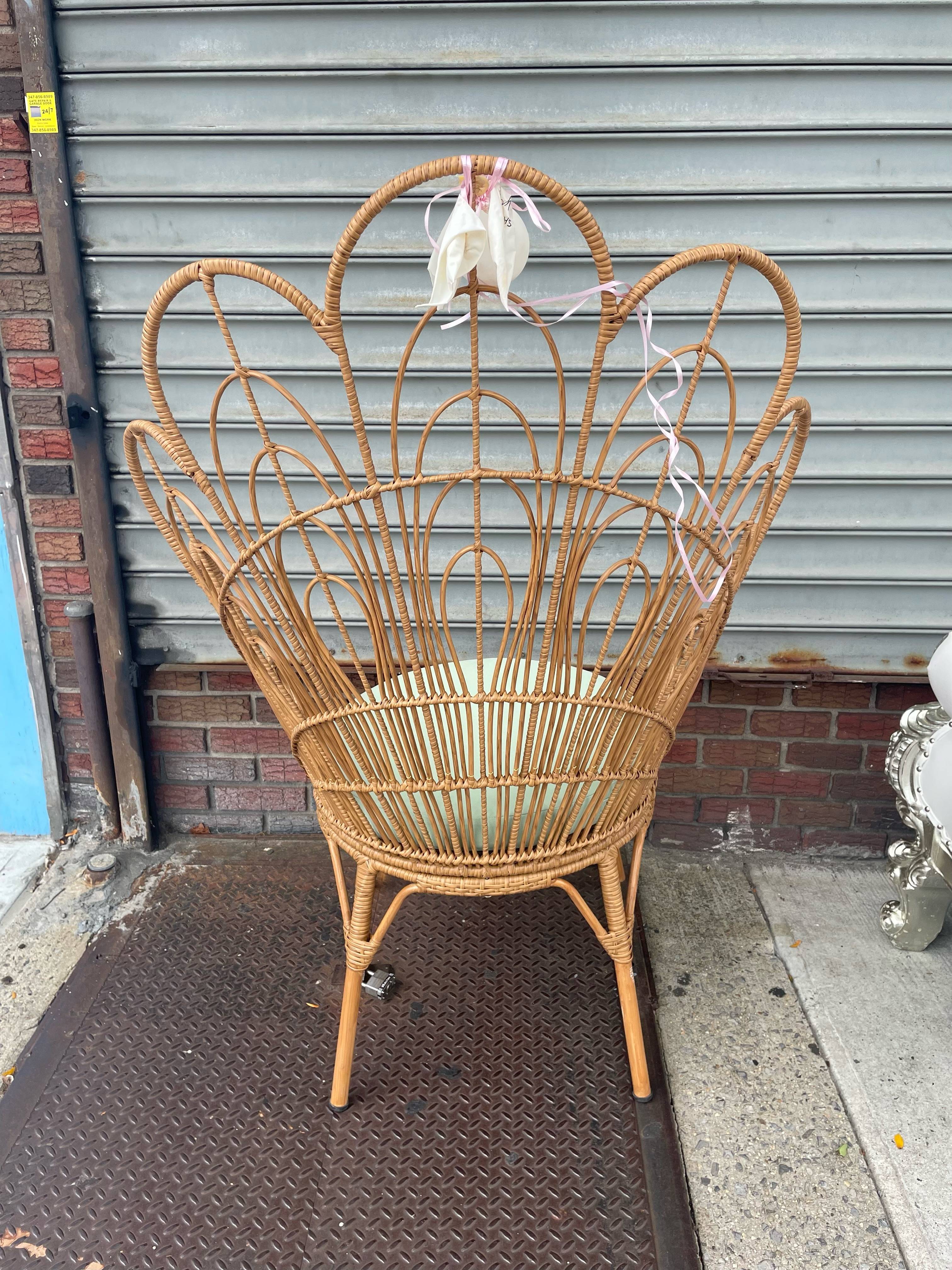 Peacock Wicker Chair