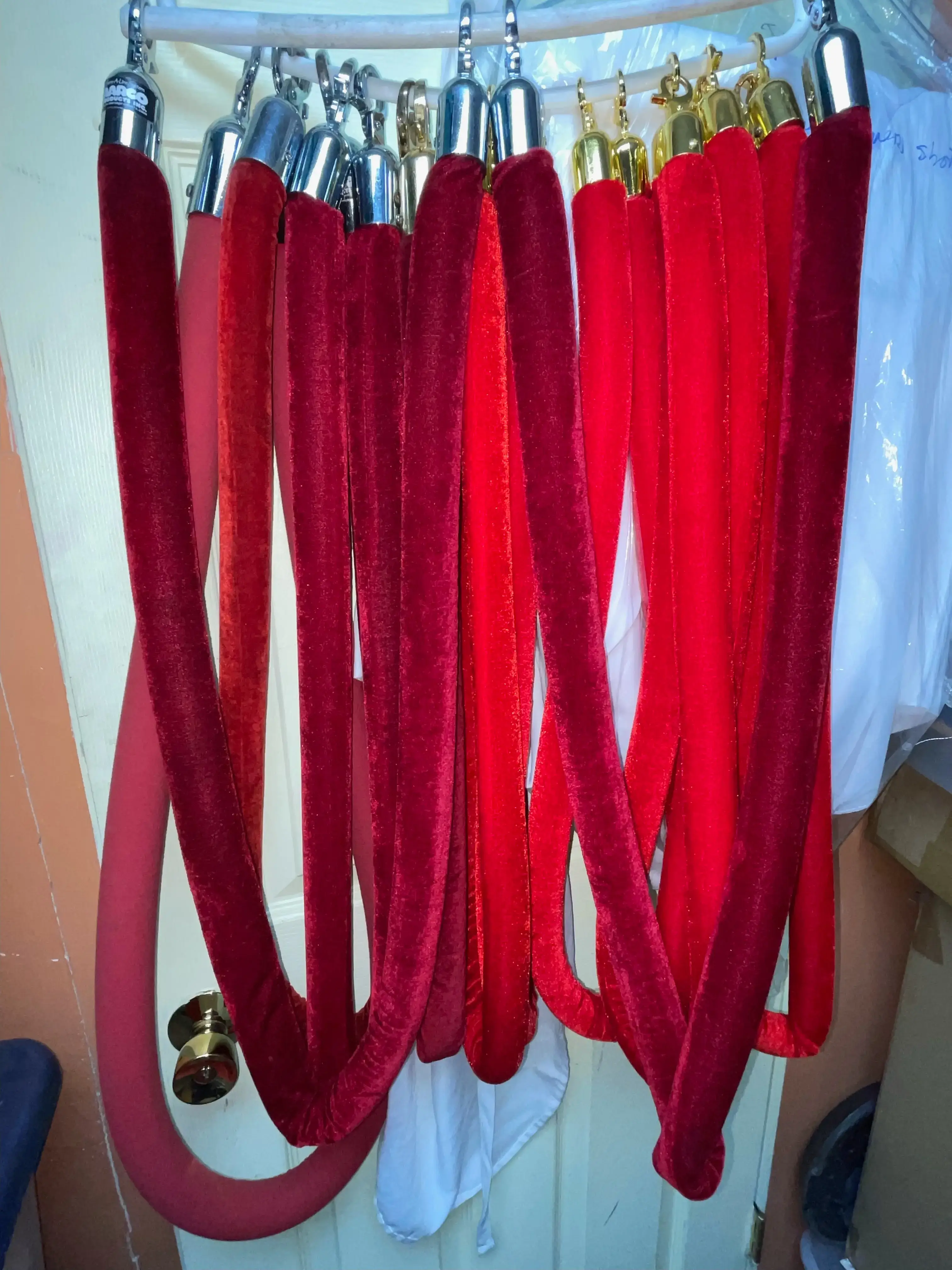 Red Stanchion Ropes